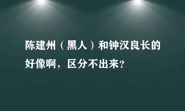 陈建州（黑人）和钟汉良长的好像啊，区分不出来？