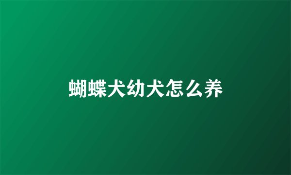 蝴蝶犬幼犬怎么养