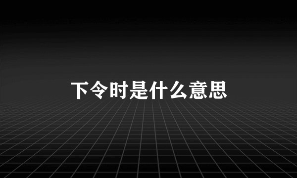 下令时是什么意思
