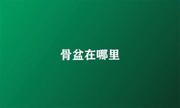 骨盆在哪里