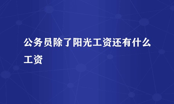公务员除了阳光工资还有什么工资