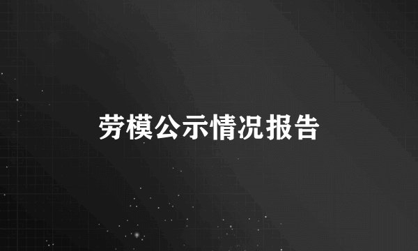 劳模公示情况报告