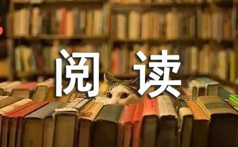酸甜苦辣之揭秘的阅读理解