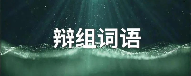 辩组词语 辩组词语造句