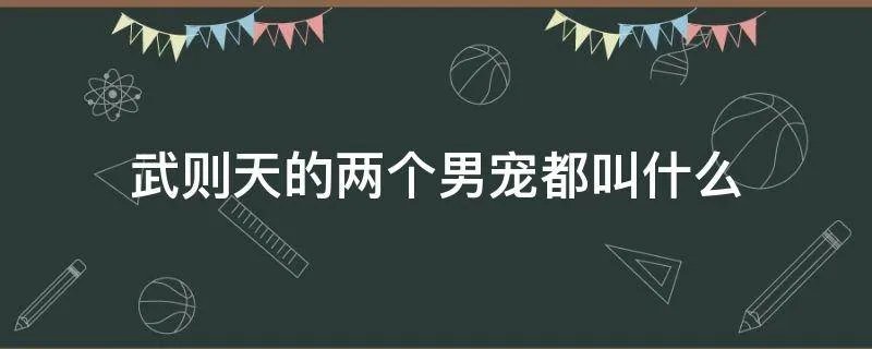 武则天的两个男宠都叫什么