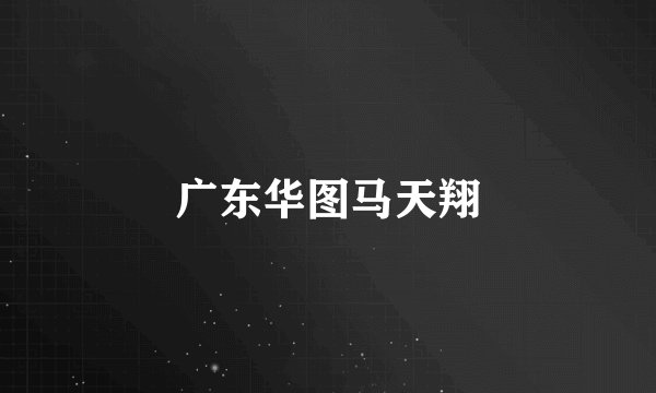 广东华图马天翔