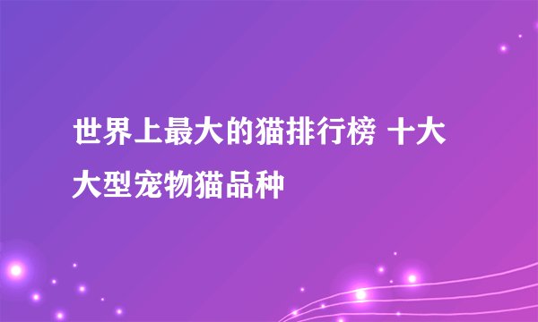 世界上最大的猫排行榜 十大大型宠物猫品种