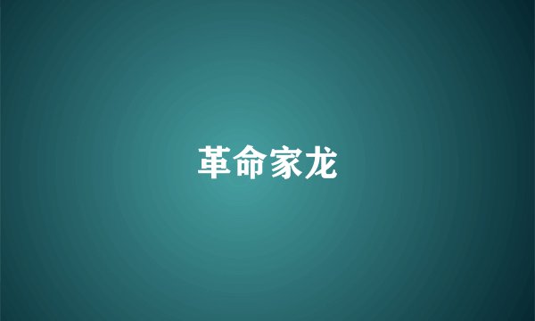 革命家龙