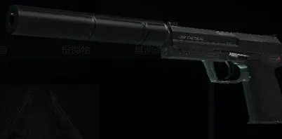 《CS：GO》UPS消音版图鉴介绍
