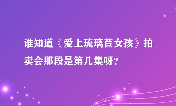 谁知道《爱上琉璃苣女孩》拍卖会那段是第几集呀？