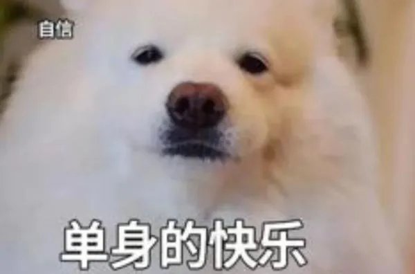 单身狗要怎样开心地过七夕?
