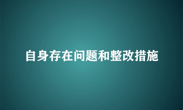 自身存在问题和整改措施