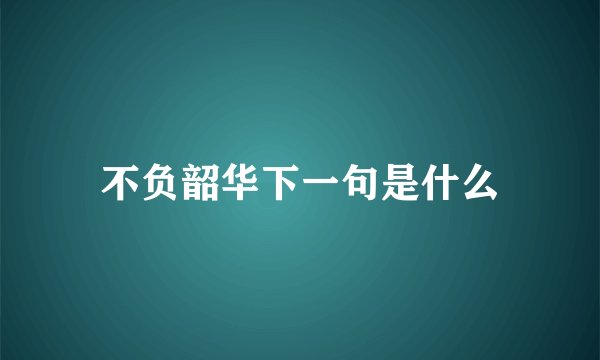 不负韶华下一句是什么