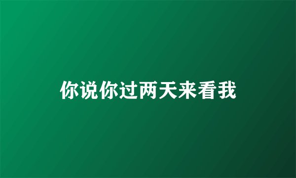 你说你过两天来看我