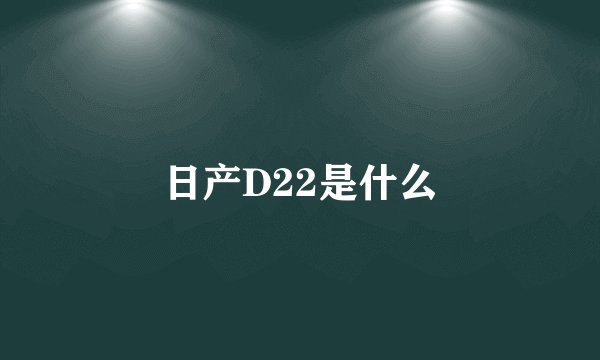 日产D22是什么