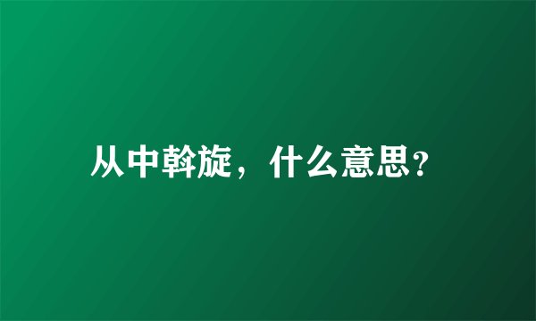 从中斡旋，什么意思？