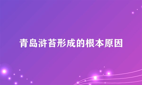 青岛浒苔形成的根本原因