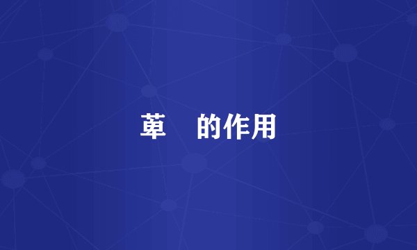 萆薢的作用