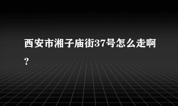 西安市湘子庙街37号怎么走啊？