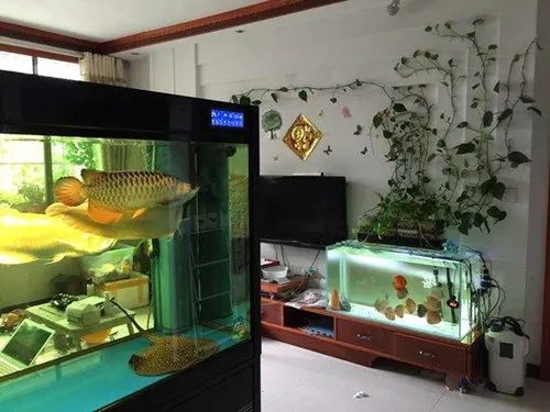 如何知道房子风水不好