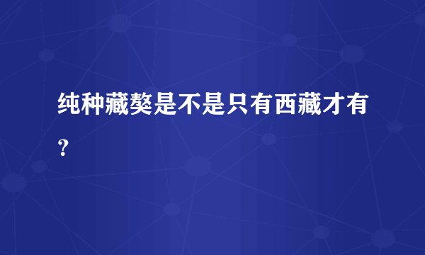 纯种藏獒是不是只有西藏才有？