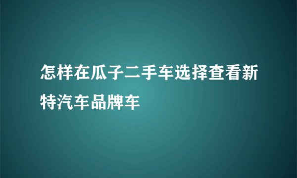 怎样在瓜子二手车选择查看新特汽车品牌车