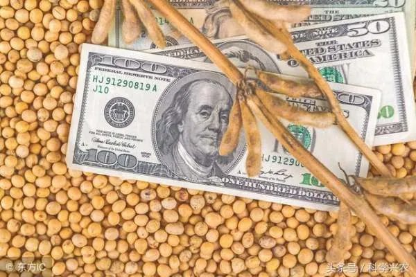 东北大豆质量好为什么卖不上钱？