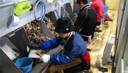 去日本打工三年大概能赚多少钱谁知道
