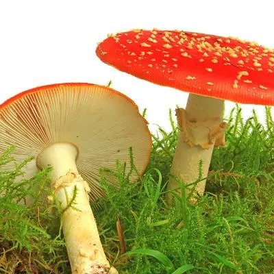 洁癖怎么办