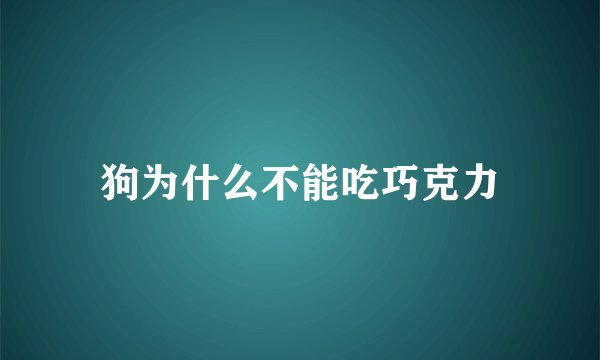 狗为什么不能吃巧克力