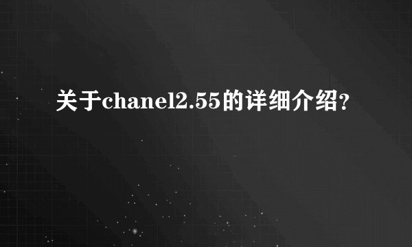 关于chanel2.55的详细介绍？