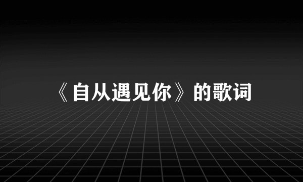 《自从遇见你》的歌词