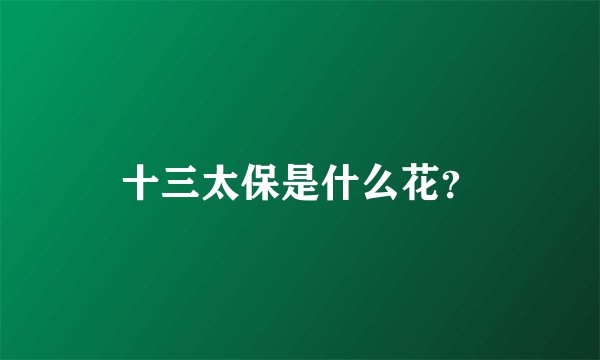十三太保是什么花?