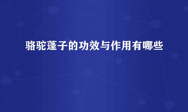 骆驼蓬子的功效与作用有哪些