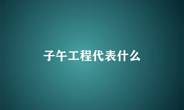 子午工程代表什么