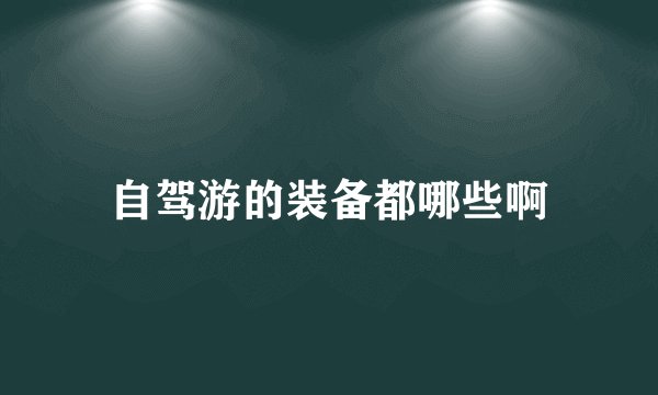 自驾游的装备都哪些啊