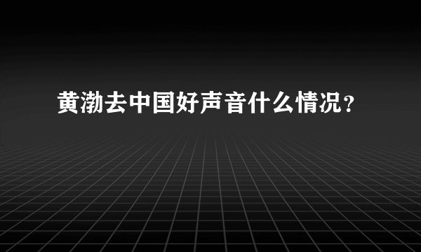 黄渤去中国好声音什么情况？