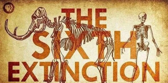生物界第六次生物大灭绝会在什么时候发生，什么生物会灭绝？