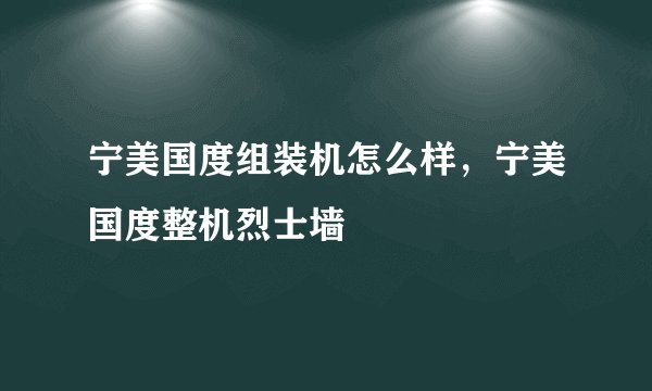 宁美国度组装机怎么样，宁美国度整机烈士墙