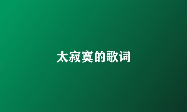 太寂寞的歌词