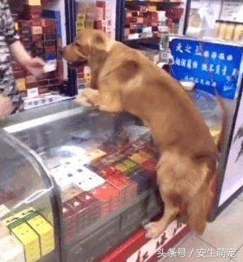 红塔山集团为什么没落了？