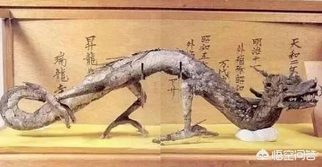 营口坠龙、松花江坠龙,为何历史上有那么多的坠龙事件?