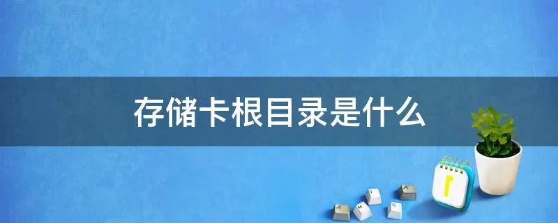 存储卡根目录是什么