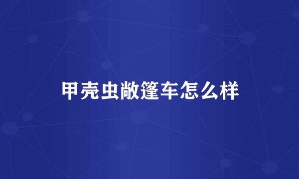 甲壳虫敞篷车怎么样