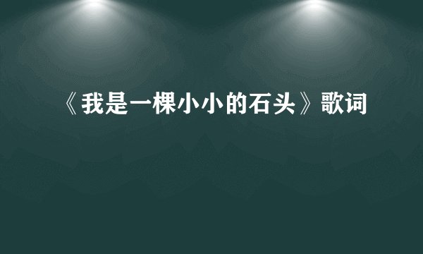《我是一棵小小的石头》歌词