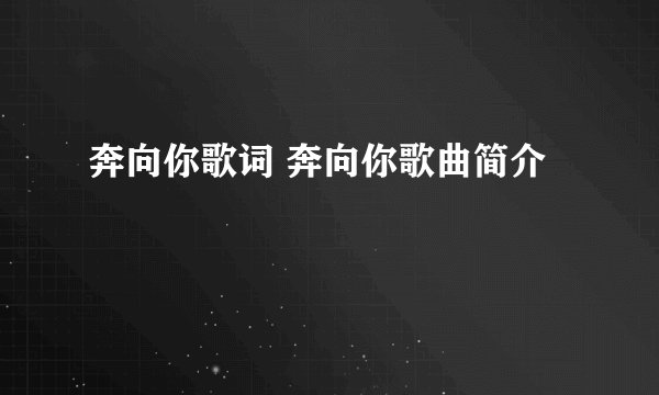 奔向你歌词 奔向你歌曲简介