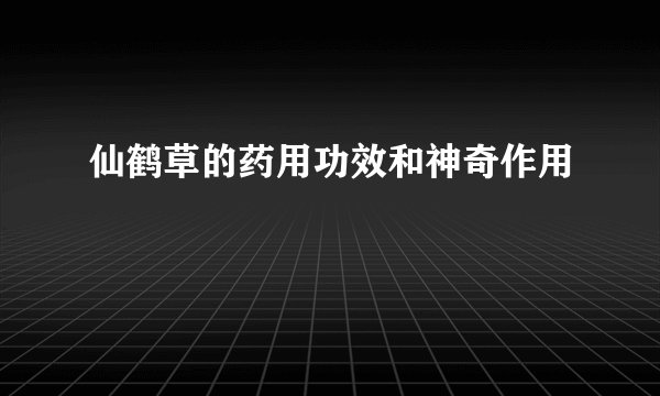 仙鹤草的药用功效和神奇作用