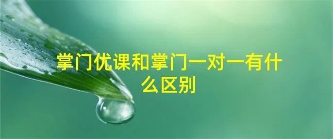 掌门优课和掌门一对一有什么区别