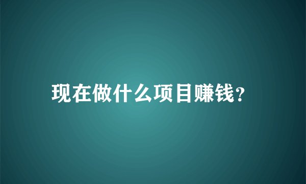 现在做什么项目赚钱？