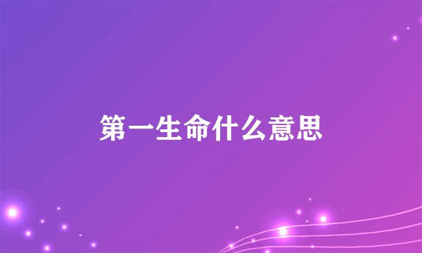 第一生命什么意思